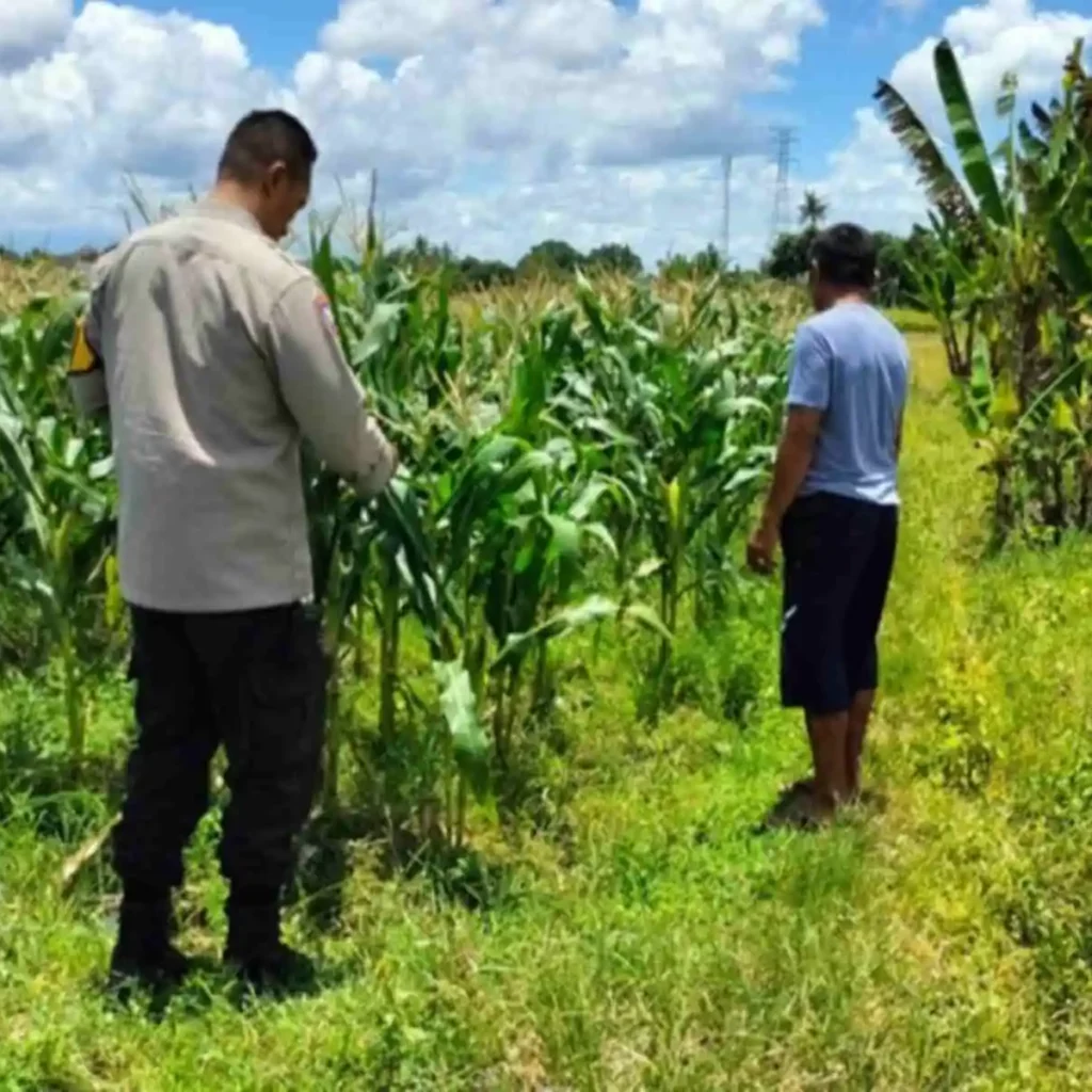 Bhabinkamtibmas Labuapi Dampingi Warga Sulap Lahan Kosong Jadi Produktif