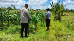 Bhabinkamtibmas Labuapi Dampingi Warga Sulap Lahan Kosong Jadi Produktif