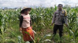 Dukung Ketahanan Pangan, Polri Sambangi Petani Bagik Polak