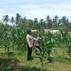 Polsek Sekotong Dorong Warga Manfaatkan Pekarangan