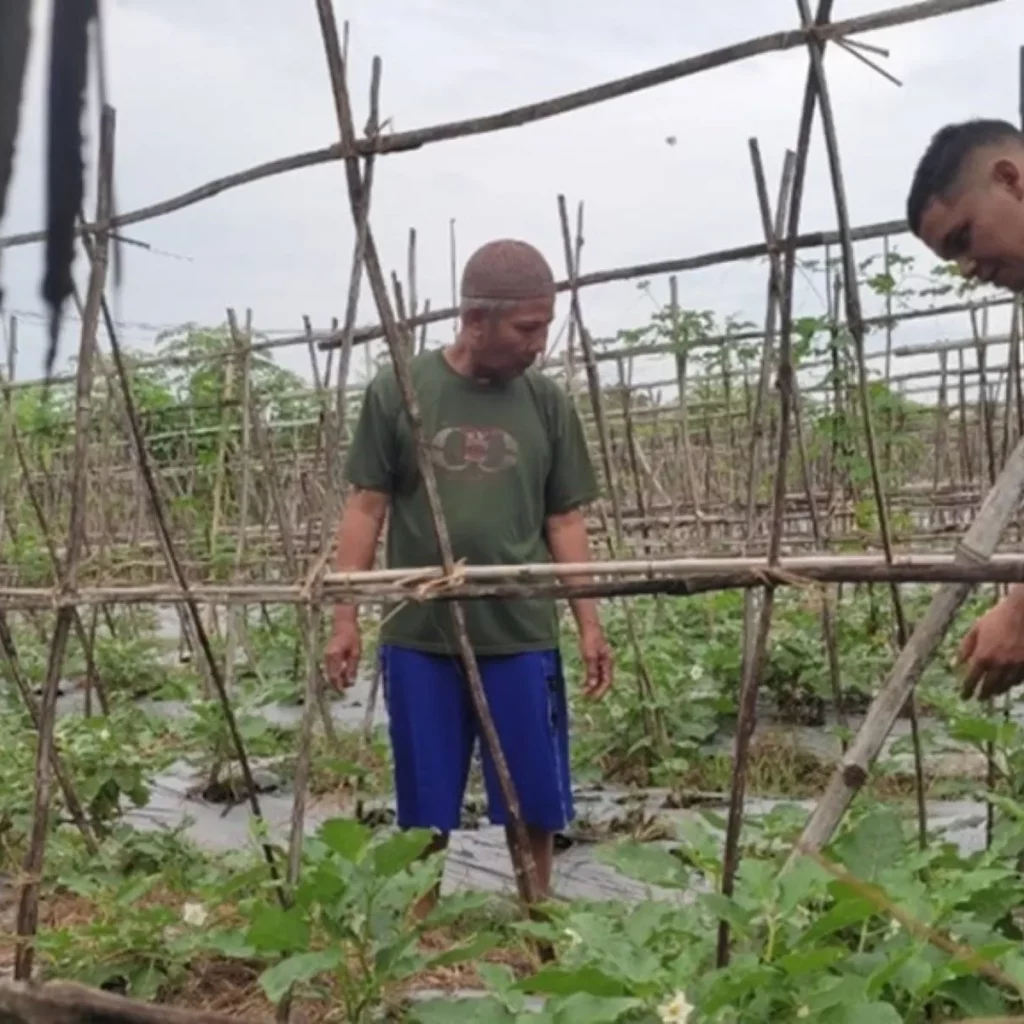 Strategi Polsek Labuapi Perkuat Stok Pangan di Lombok Barat