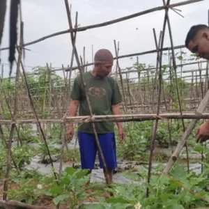 Polri Kawal Ketahanan Pangan di Kuranji Dalang Lombok Barat