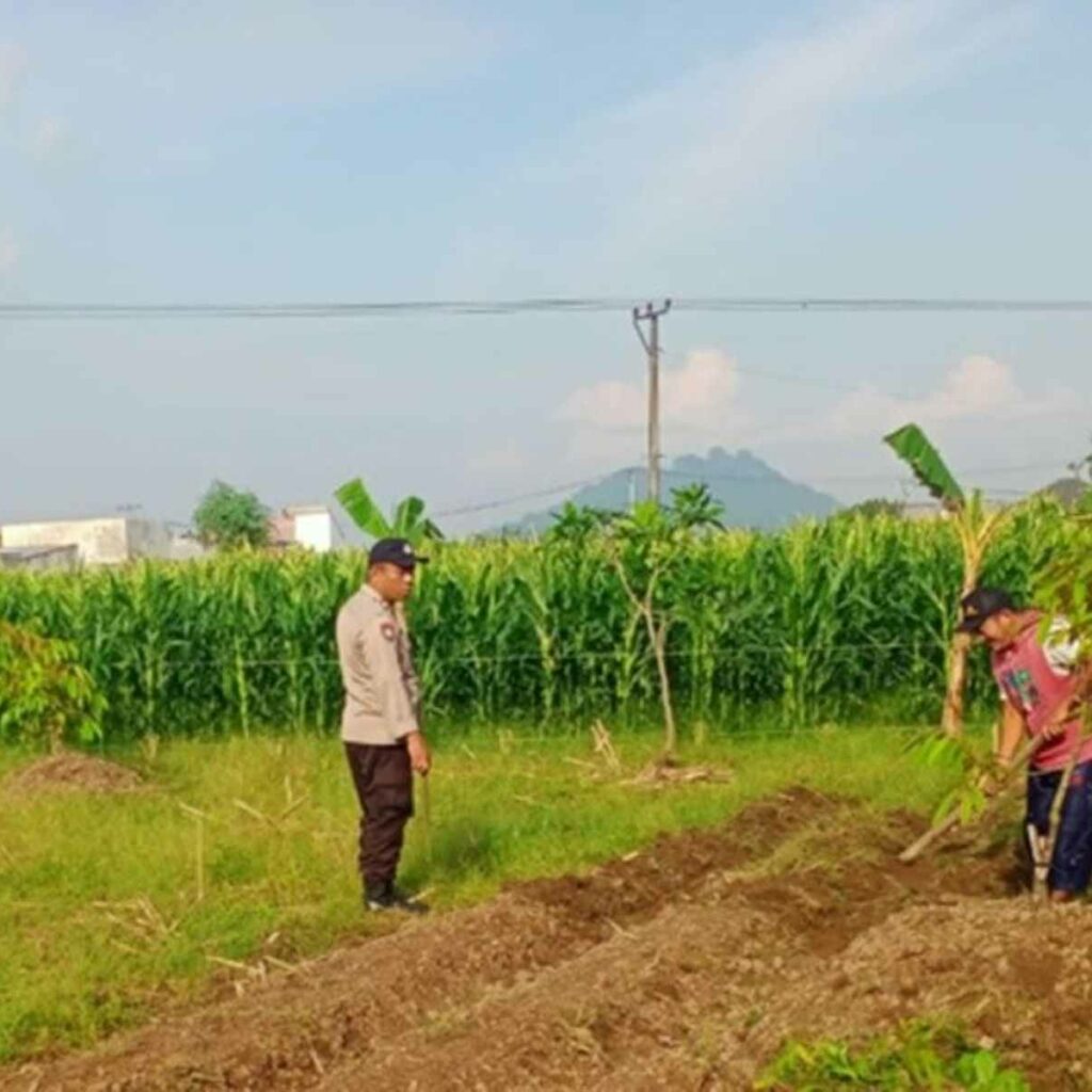 Labuapi Edukasi Petani Optimalkan Lahan Produktif