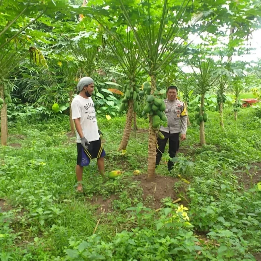 inergi Polri dan Petani dalam Pemanfaatan Lahan Kosong NTB