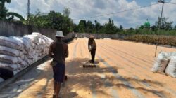 Polres Lombok Barat Kawal Ketahanan Pangan di Desa Dasan Tapen