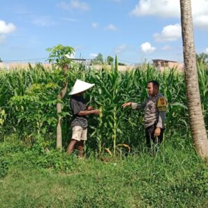 Polres Lombok Barat Intensifkan Pendampingan Ketahanan Pangan Desa