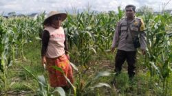 Sinergi Polri dan Petani Bagik Polak Wujudkan Kemandirian Pangan