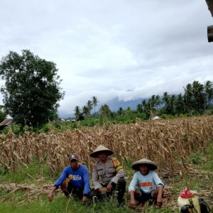 Dukung Program Ketahanan Pangan, Bhabinkamtibmas  Desa Apitaik Silaturrahmi Dengan Petani