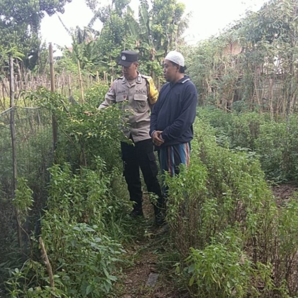 Bhabinkamtibmas Desa Babussalam Dorong Kemandirian Pangan Warga Gerung