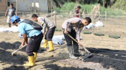 Taruna Akpol Pulihkan Ketahanan Pangan dan UMKM Warga Aceh Tamiang Lewat Pekarangan Pangan Lestari