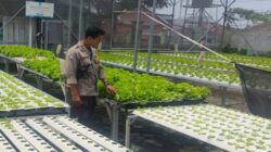 Polsek Labuapi Dorong Warga Optimalkan Lahan Sisa Jadi Zona Hijau