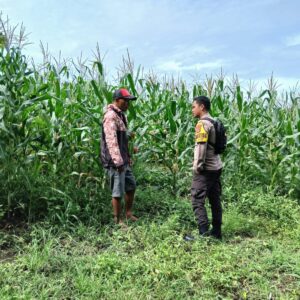 Ketahanan Pangan Diperkuat, Polsek Pekat Dampingi Petani Menuju Indonesia Emas 2045