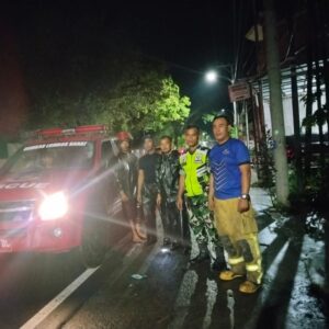 Sinergi TNI dan BPBD Tangani Pohon Tumbang