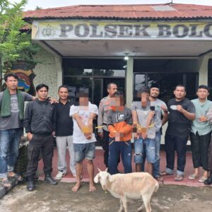 Kurang 24 Jam Unit Reskrim Polsek Bolo Meringkus 3 Sindikat Terduga Pelaku Spesialis Pencurian Hewan Ternak