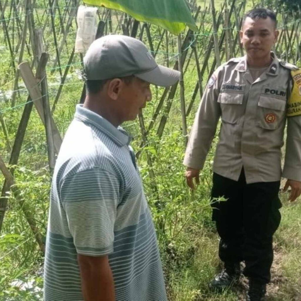 Bhabinkamtibmas Gerung Turun ke Sawah Motivasi Petani Aik Ampat