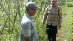 Polri Kawal Swasembada Pangan di Lombok Barat melalui Aksi Nyata