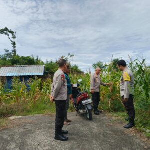 Kapolsek Sakra Kunjungi Petani Jagung, Ajak Warga Tingkatkan Ketahanan Pangan