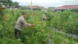 Bhabinkamtibmas Desa Masbagik Utara Laksanakan Silaturahmi dan Kontrol Petani Dukung Ketahanan Pangan