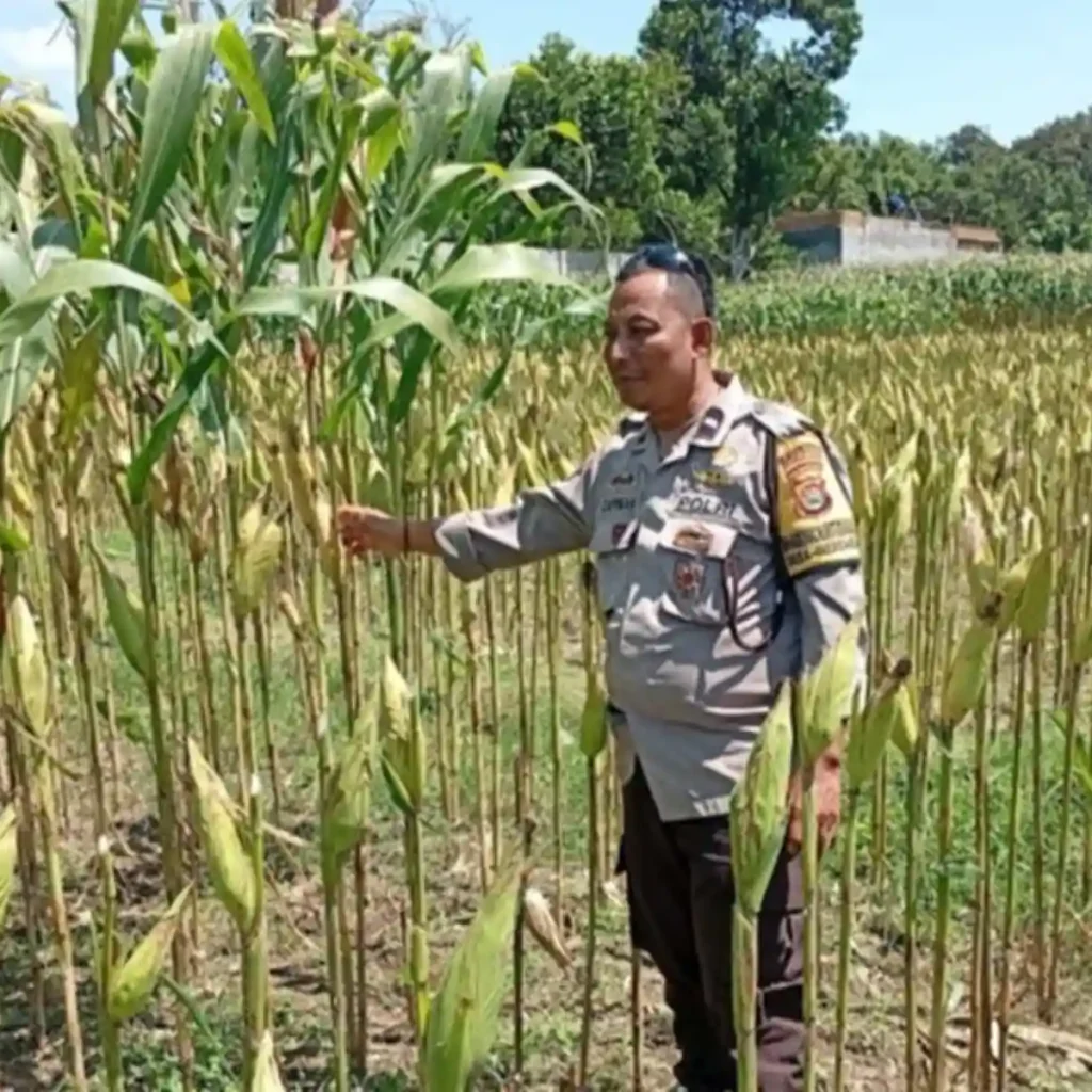 Polri Perkuat Ketahanan Pangan di Desa Merembu