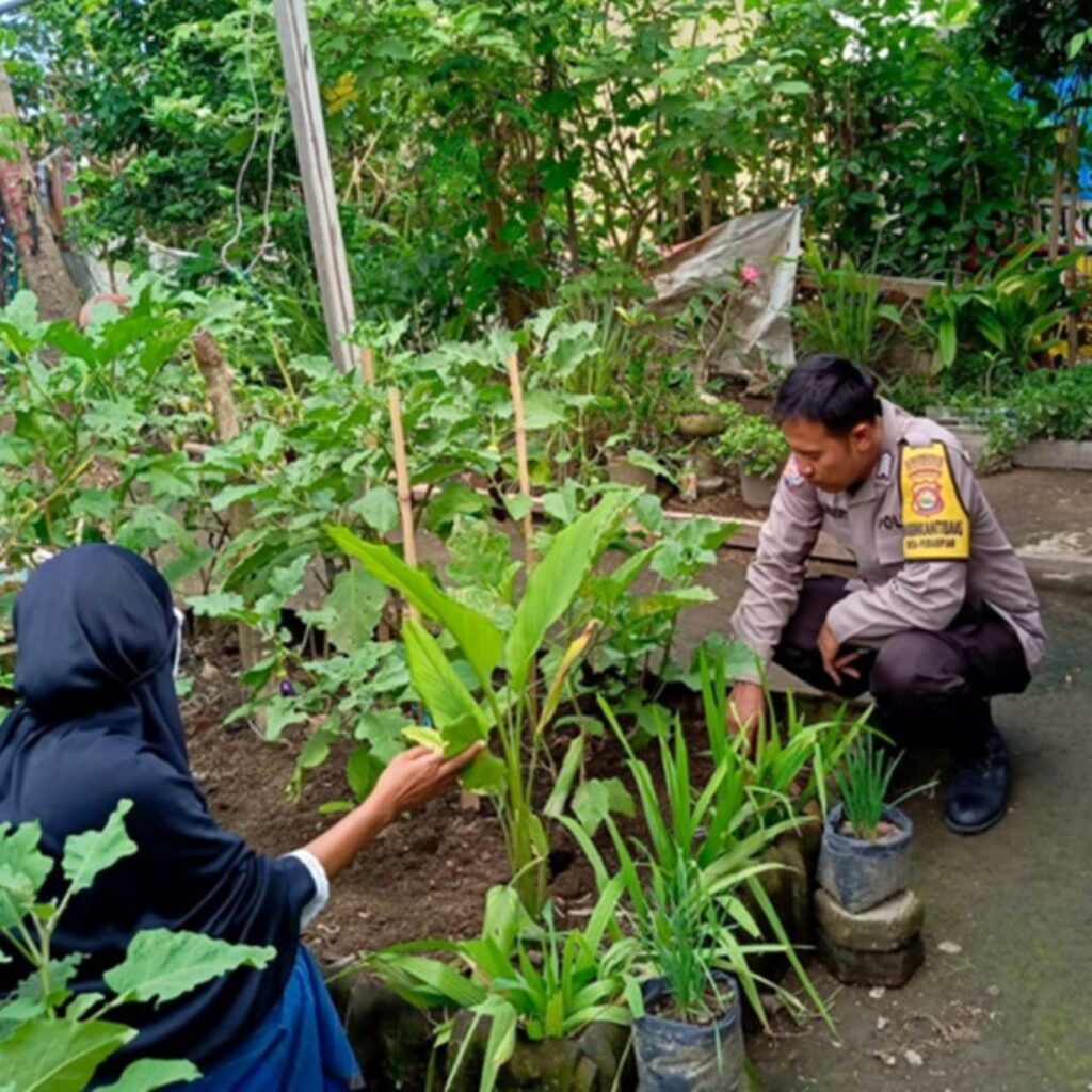 Bhabinkamtibmas Perampuan Gerakkan Program Pekarangan Bergizi di Labuapi