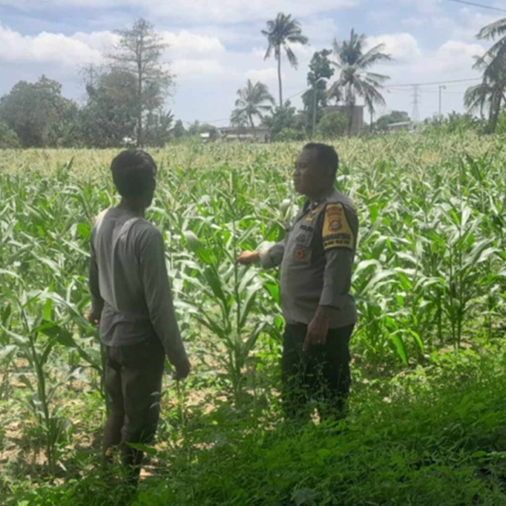 Polsek Labuapi Kawal Swasembada Pangan di Bagik Polak Barat