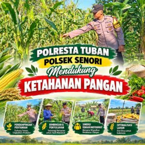 Bhabinkamtibmas Polsek Senori Polresta Tuban Lakukan Pemantauan Tanaman Jagung Warga Desa Sendang Guna Mendukung Program Ketahanan Pangan