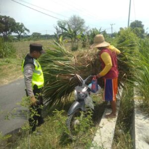 Polri Dukung Astacita, Polsek jenu Polres Tuban Turun Cek Tanaman Jagung Warga di Desa Jenu