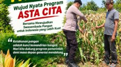 Polri Dukung Astacita, Polsek Merakurak Polresta Tuban Turun Cek Tanaman Jagung Warga di Desa Tuwiri Wetan