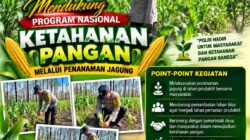 Polsek Parengan Polresta Tuban Pantau Lahan Jagung Warga Desa Pacing Dukung Program Astacita