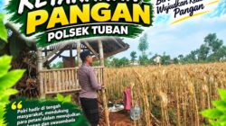 Polsek Tuban Dukung Ketahanan Pangan melalui Pemantauan Lahan Pertanian Jagung