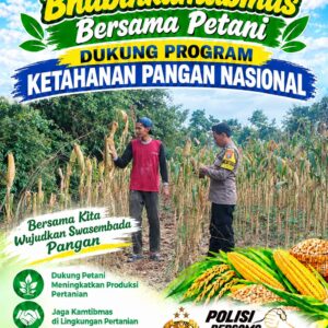 Polsek Palang Dukung Ketahanan Pangan Nasional Melalui Pemantauan Lahan Jagung