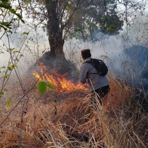 Gelar Patroli Gabungan Polsek Tambora Padamkan Karhutla di Kawasan Taman Nasional Tambora